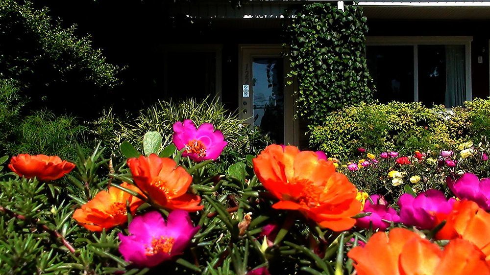 Murray Inn And Art Gallery Exteriör bild